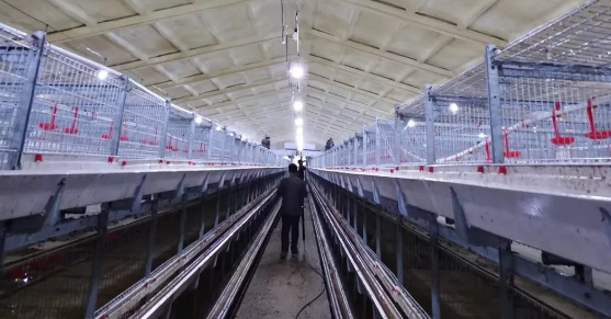 養(yǎng)鴨場(chǎng)老板：熱泵供暖溫度高，費(fèi)用比燒煤還??！